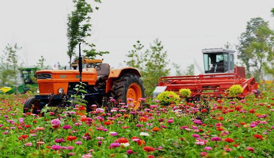 “十三五”大思路規(guī)劃， 哪些決定將影響農(nóng)業(yè)行業(yè)