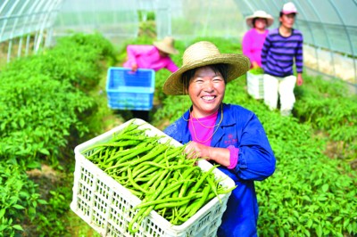 “十三五”扶貧開發(fā)相關規(guī)劃編制啟動