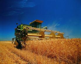 益海嘉里王?。捍睢耙粠б宦贰苯ㄔO(shè)快車加快農(nóng)業(yè)“走出去”