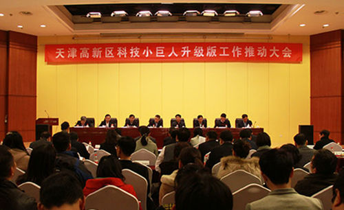 天津濱海高新區（核心區）科技小巨人升級版五年行動方案