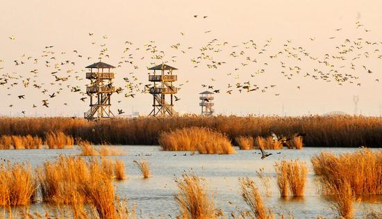 迅速崛起的國家級開發(fā)區(qū)--第十三屆全國重點(diǎn)網(wǎng)媒河北行走進(jìn)曹妃甸