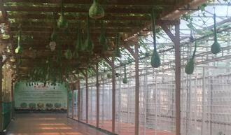 “蔬菜之鄉(xiāng)”山東壽光聚力打造具有縣域特色國(guó)家級(jí)高新區(qū)