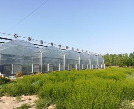 山東高青啟動國家農業科技園區申報工作