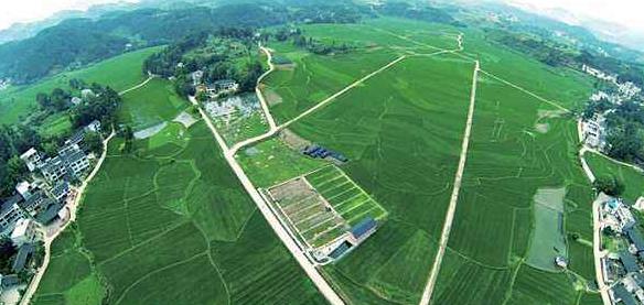 大健康事業(yè)是國家趨勢(shì)，現(xiàn)今走在前面的人，將是未來的主角！