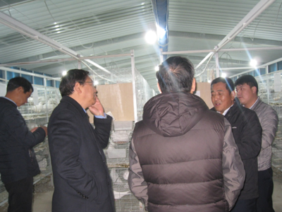 太行山革命老區,阜平縣鄉村振興正當時