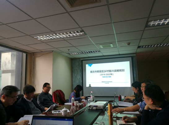 問(wèn)診專(zhuān)家，繪制龍鄉(xiāng)銅梁鄉(xiāng)村振興新藍(lán)圖