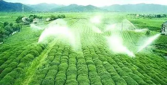 重磅！2019中央一號(hào)文件即將發(fā)布！大農(nóng)業(yè)領(lǐng)域迎來(lái)新機(jī)遇