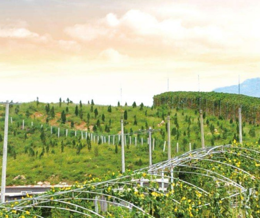 農(nóng)業(yè)農(nóng)村部辦公廳 財政部辦公廳關(guān)于開展國家現(xiàn)代農(nóng)業(yè)產(chǎn)業(yè)園創(chuàng)建績效評價和