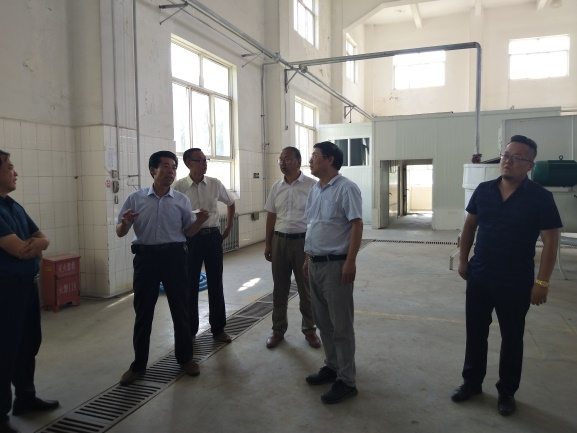 打造高原生態農業示范區 臨洮國家現代農業產業園開啟新篇章