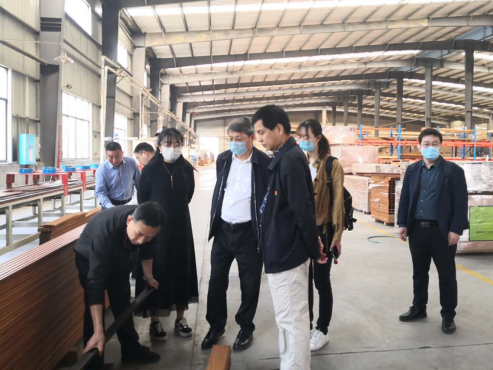 竹青筍香“桃花江”，現(xiàn)代農(nóng)業(yè)吐芬芳