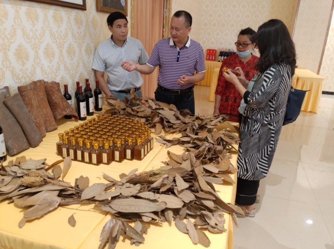 龔州大地，龍眼飄香-平南現(xiàn)代農(nóng)業(yè)正釋放科技創(chuàng)新活力