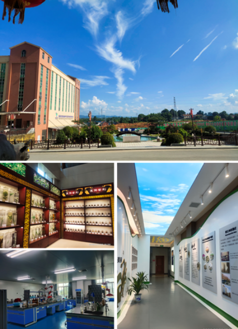 創(chuàng)建省級(jí)高新區(qū)，鶴城工業(yè)集中區(qū)邁入高質(zhì)量發(fā)展快車(chē)道