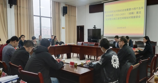 集聚頭腦風暴,為高質量編制桃江“十四五”規劃建言獻策