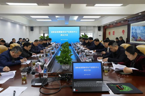 湘雁輸變電產業服務中心在長沙成立，湖南輸變電產業開啟發展新篇章