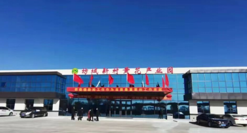 大同黃花，忘憂云州——云州區積極申創國家農業現代化示范區