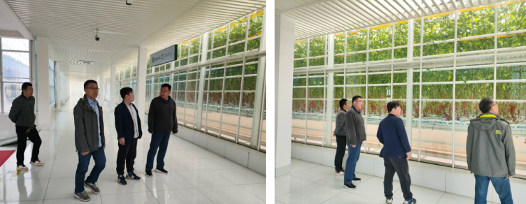 加強農業產業布局規劃，民樂縣向農業強縣進發