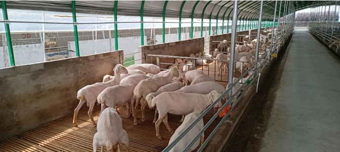 高新院再創佳績，又一國家現代農業產業園誕生在三晉大地