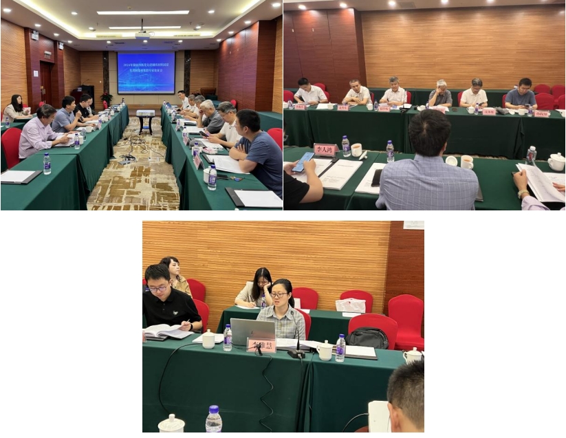 《培育發展湘潭市、婁底市、衡陽市先進鋼鐵材料集群實施方案》獲專家高度評價