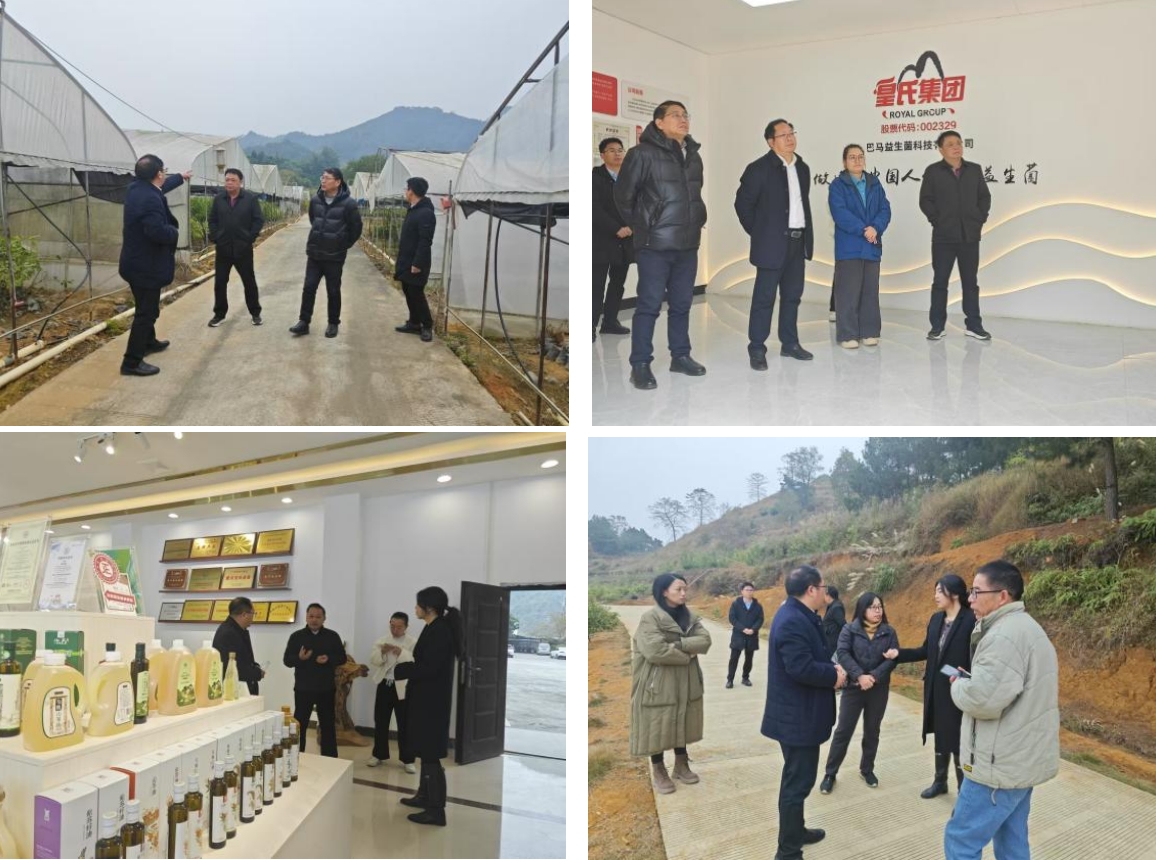 長壽之鄉，逐路之行——高新院專家組一行赴廣西巴馬瑤族自治縣開展河池農高區創建調研