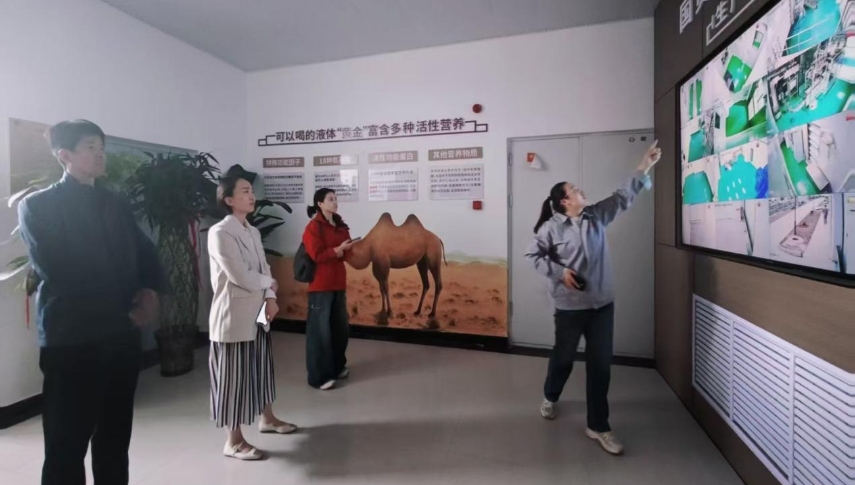 金川區“十五五”規劃調研啟動 我院走訪22個重點點位